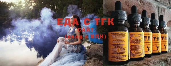 тгк Верея