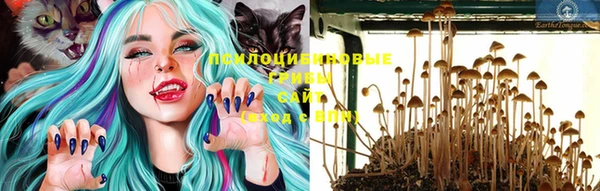 ALPHA PVP Волоколамск