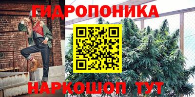 молекула духа Берёзовский