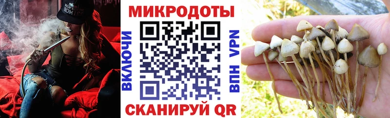 где можно купить   Вязьма  гидра ссылки  Псилоцибиновые грибы MAGIC MUSHROOMS 