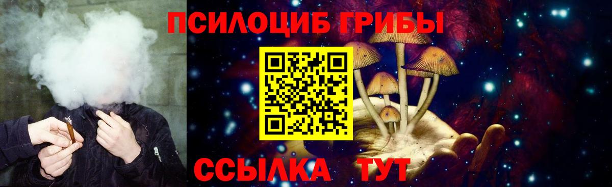 Галлюциногенные грибы Magic Shrooms  Вход с VPN  Вязьма 